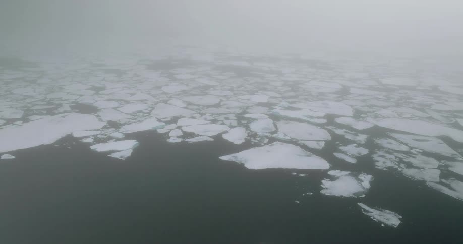 A haunting aerial view drifts over scattered plates of white sea ice floating atop deep dark waters fading seamlessly into a thick wall of white mist