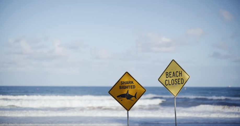 Yellow warning signs reading shark sighted and beach closed stand on a sandy shore as waves crash behind them
