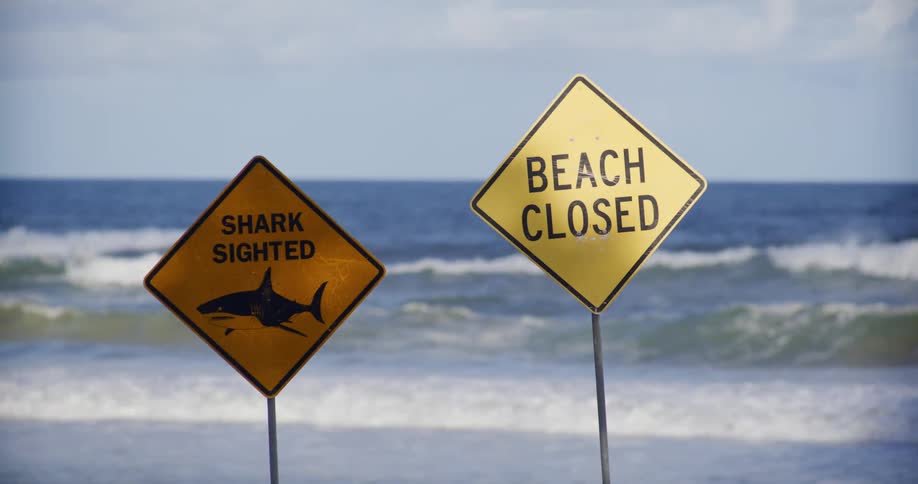 Two yellow signs warn of a shark sighting and beach closure with crashing waves behind