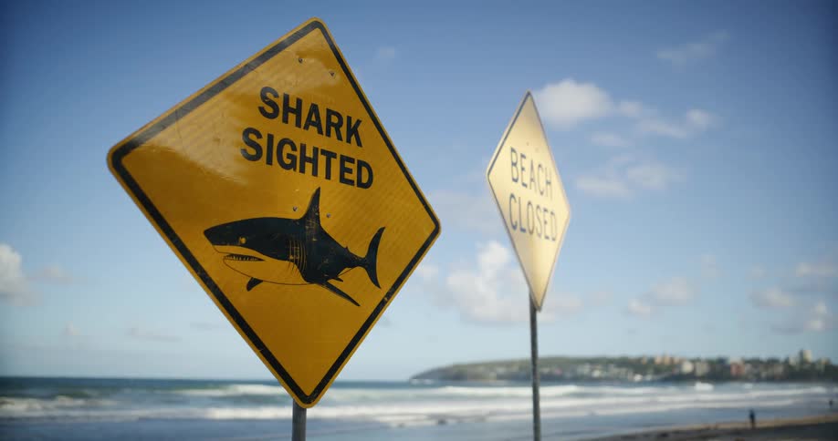 Yellow signs warn of a shark sighting and beach closure facing the ocean