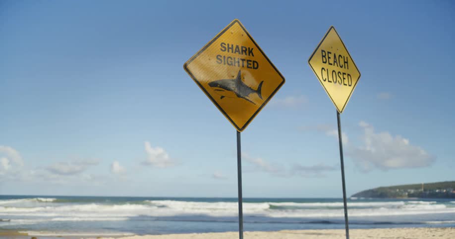 Two yellow warning signs stand on a sandy shore and in the background waves crash against the beach under a clear blue sky with light clouds and a distant green coastline visible