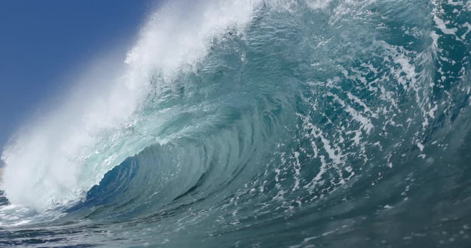 Ocean wave in formation creates a water barrel with foam in open sea