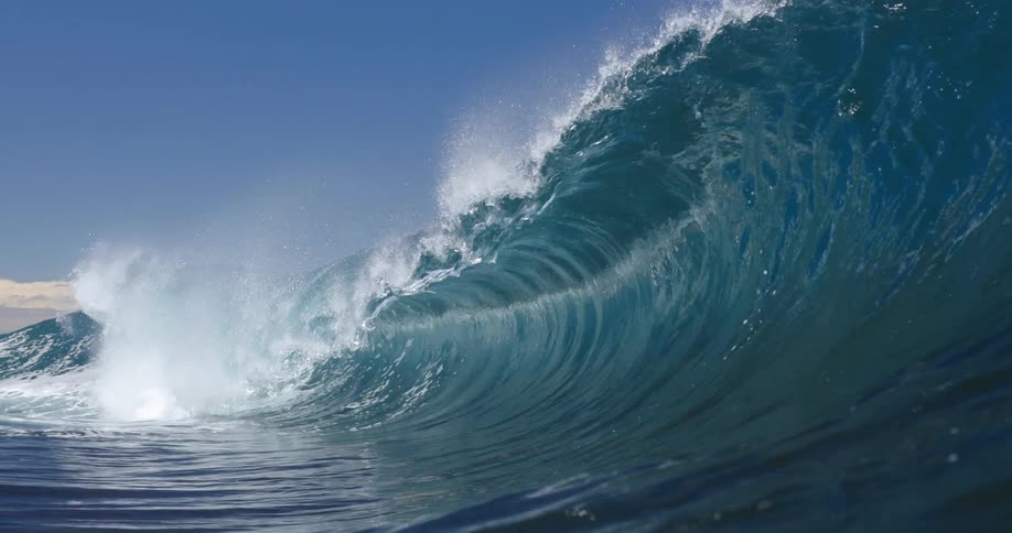 Ocean wave forms a hollow barrel as it breaks in open water