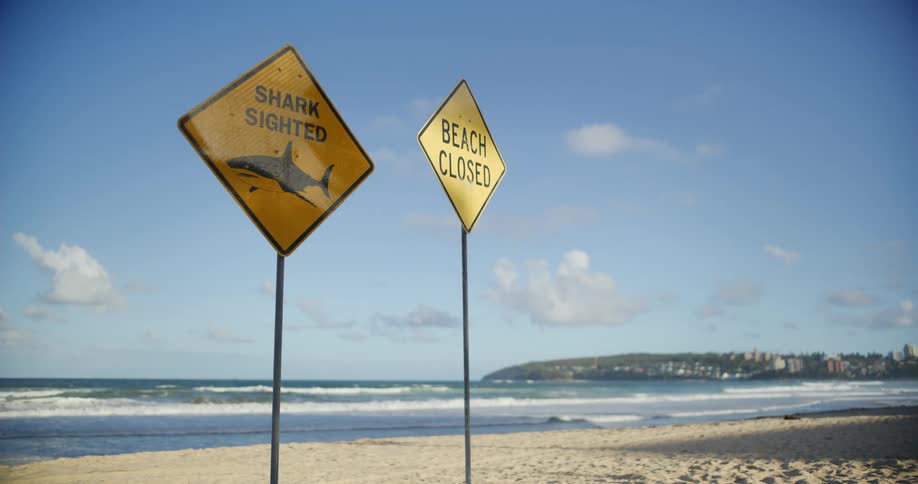Warning signs indicate a shark sighting and beach closure by the seaside