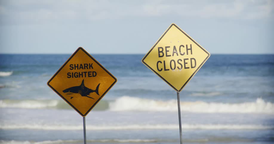 Sunlight gleams across two diamondshaped warning signs posted on the sand announcing a shark sighting and beach closure against a backdrop of rolling blue waves