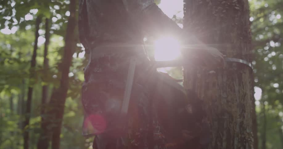 A hunter climbs a tree using a tree stand harness