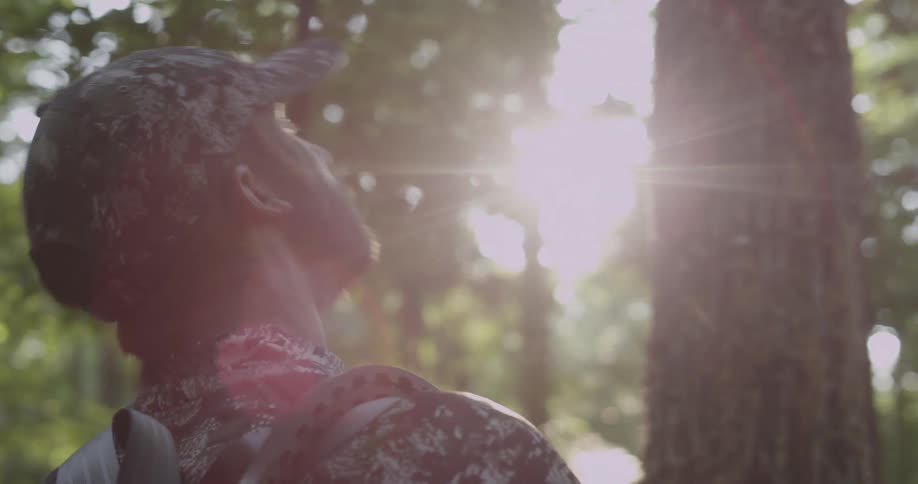 A man looks up at the tree tops