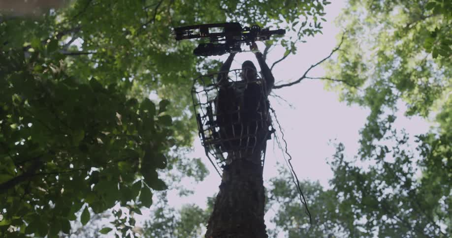 A man on top of a tree pulls up a device on a rope