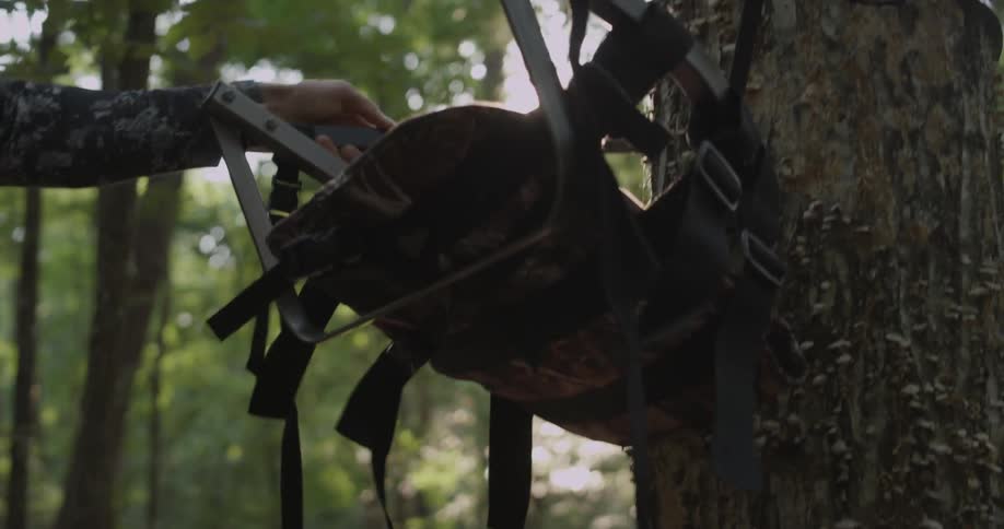 A hunter is attaching a seat and step platform to a tree trunk
