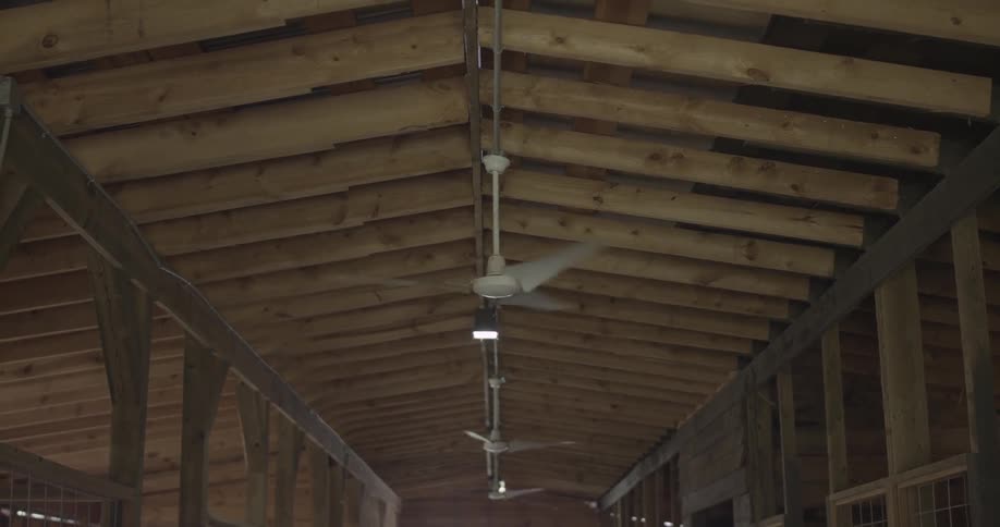 The fans move on the ceiling above