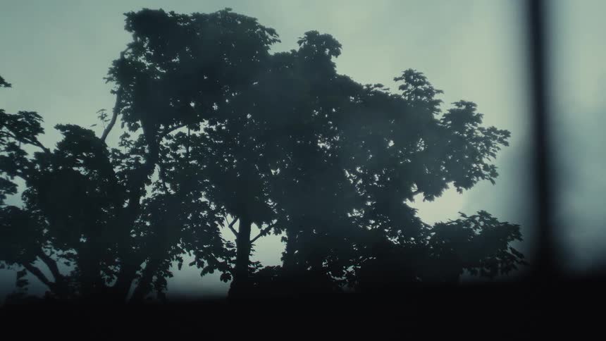 Rain falls on a silhouetted tree standing against a gloomy overcast sky