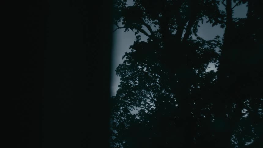 A view through a window shows the dark silhouettes of trees against a dim sky