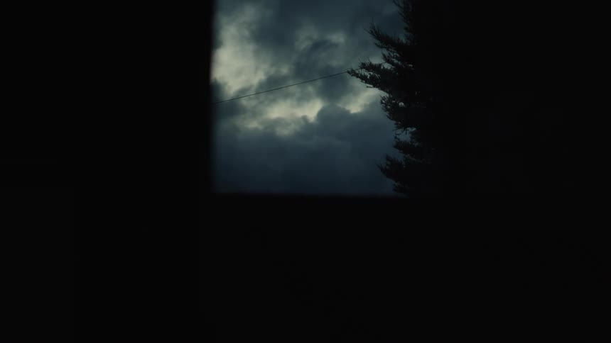 Viewed from a dark room ominous storm clouds roll across the sky while a silhouetted treetop tosses in the heavy wind