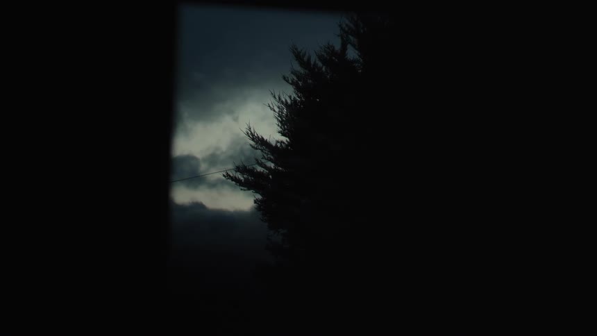 Silhouette of a tree against a sky covered in dark clouds outdoors during dusk or dawn