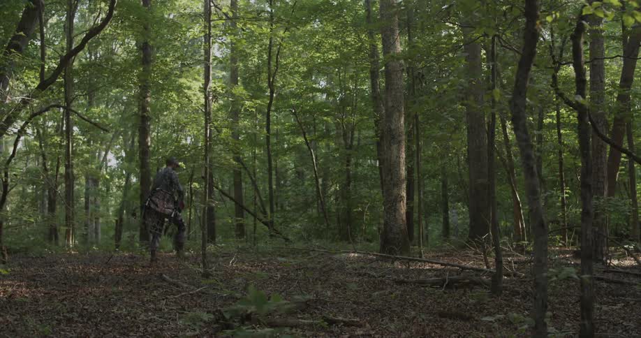 A hunter walks in the woods
