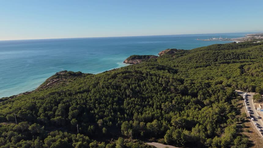 Coastal area with dense forest across hills and blue ocean in the background