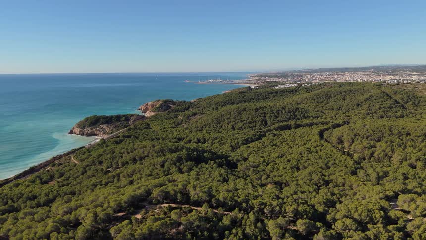 Coastal area with dense forest extending toward the blue sea and a city in the distance