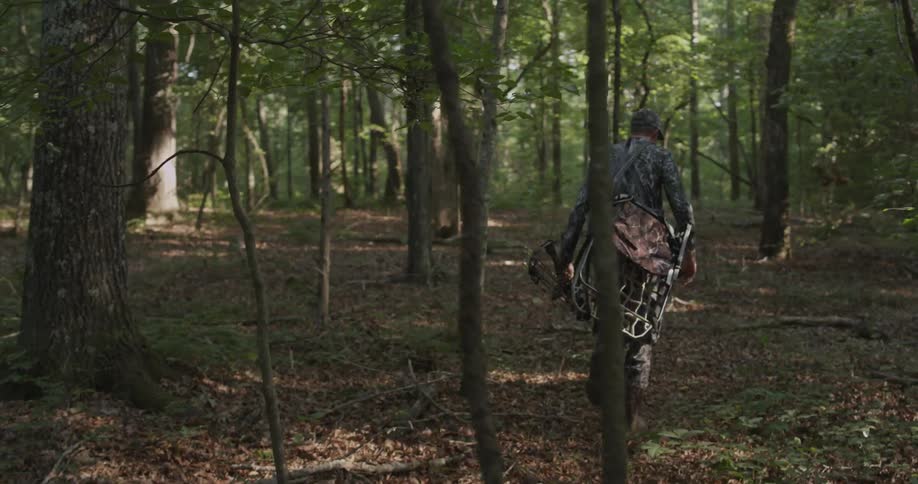 A man hikes in the woods