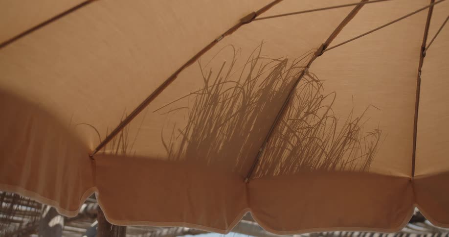 Shadows of long thin grass blades sway gently against the warm tan fabric of a beach umbrella as the camera pulls back the movement of the shadows suggests a light breeze in a sunny tropical setting