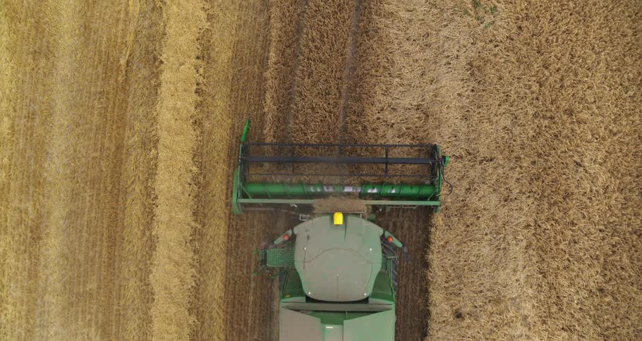 Harvester seen from above performing harvest in a grain field