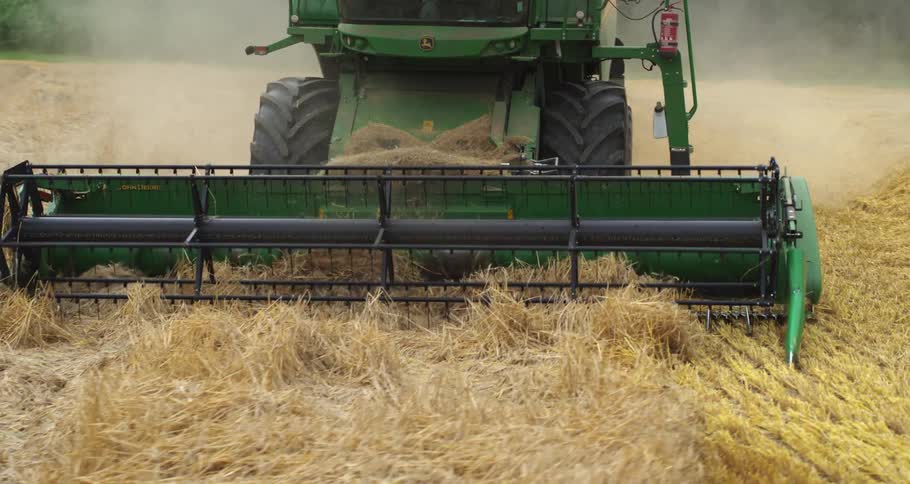 Agricultural harvester cutting and collecting grain in a mature field