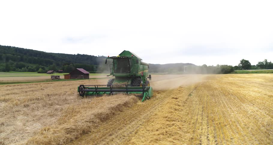 A green combine harvester drives through a golden field cutting and threshing wheat while kicking up dust under a cloudy sky near a wooded hillside and a small wooden shed