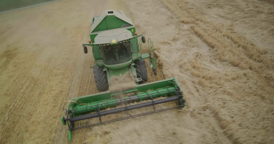 Harvester seen from above operating in an agricultural field during harvest