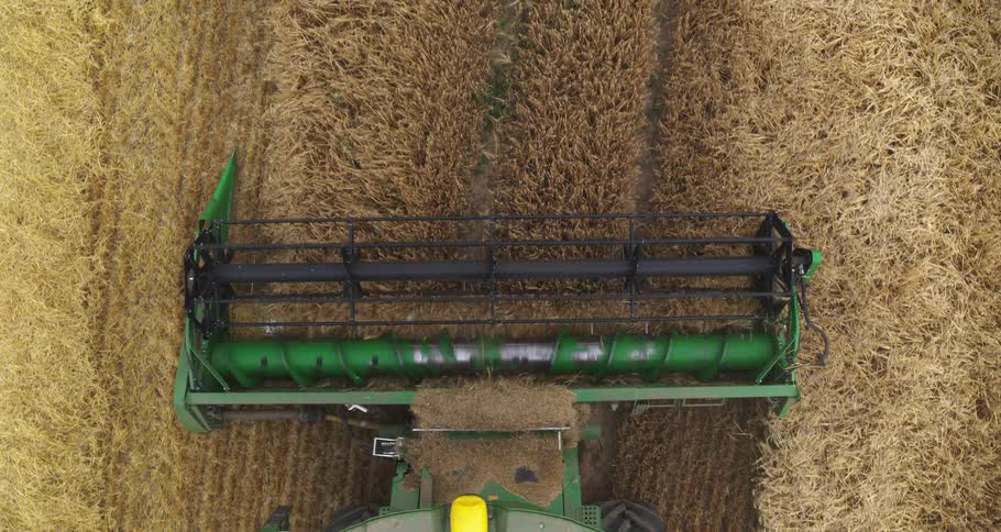 An aerial view of a green combine harvester cutting through a golden wheat field