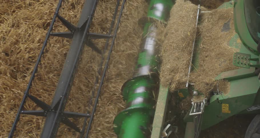 Harvester mechanism processing straw and grains during agricultural operation