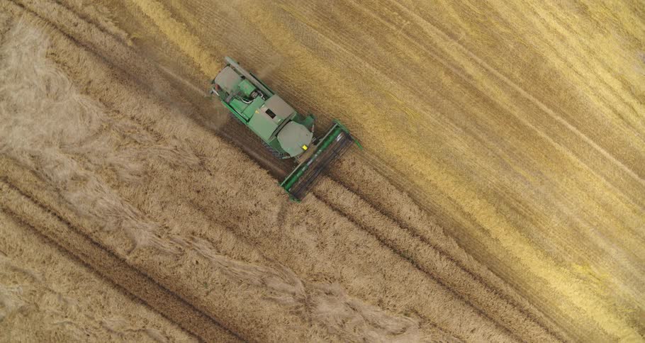 An aerial view shows a green combine harvester moving through a golden field of wheat as it harvests the crop