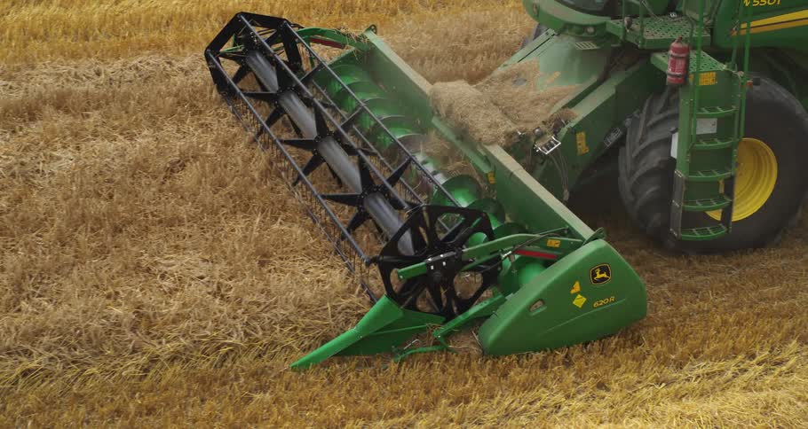 Agricultural harvester cutting and collecting grain in a cultivated field