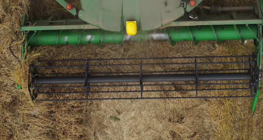 Agricultural harvester seen from above cutting and collecting grain in the field