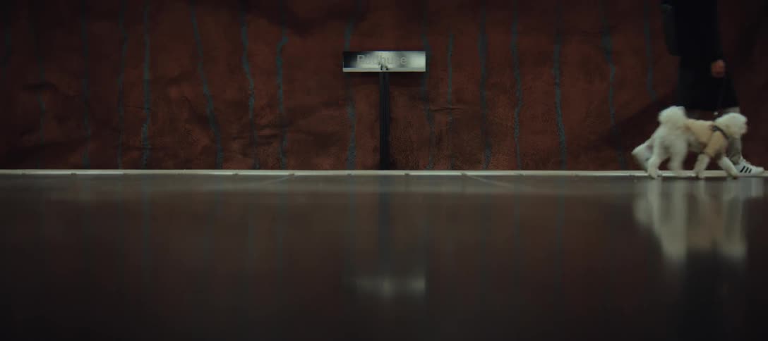 A small white dog walks on a leash across a subway station alongside a person wearing black clothing and white sneakers with a textured brown stone wall and a small black sign standing in the background