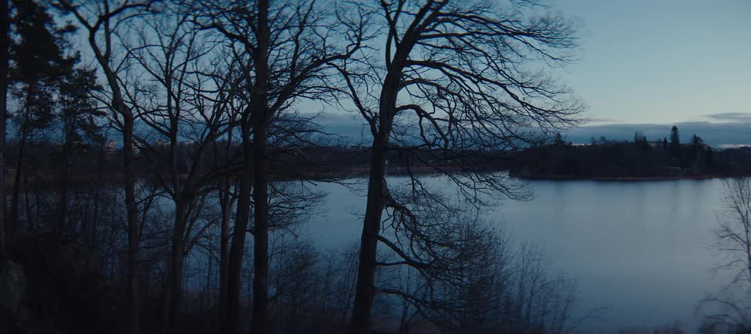 Bare silhouetted trees frame a tranquil view of a lake under a dim twilight skythe camera slowly glides forward through the woods revealing a quiet body of water surrounded by a distant forested shoreline