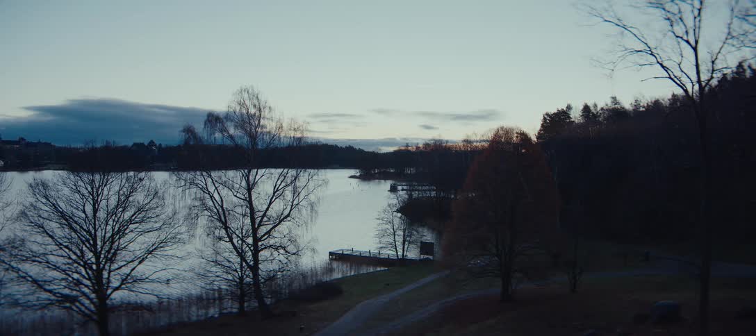 The camera captures a static wide angle of a serene lake at dusk featuring bare deciduous trees and a dark evergreen forest under a cloudy twilight sky while a small wooden pier sits quietly along the shoreline next to a winding dirt pathway