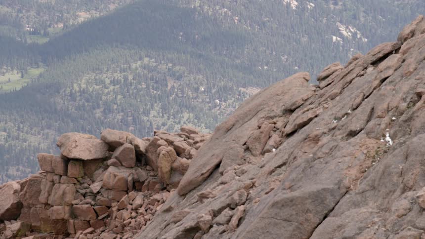 Side of a tall rocky mountain overlooking a tree covered valley