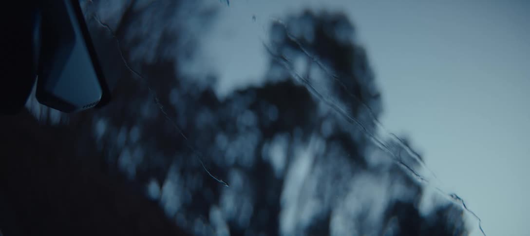 Raindrops roll down a window against a blurred background of dark trees and a dim sky