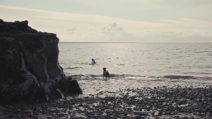 A person swims in the ocean while a black dog stands in the shallow water on a pebble beach next to a large rock formation under a cloudy sky
