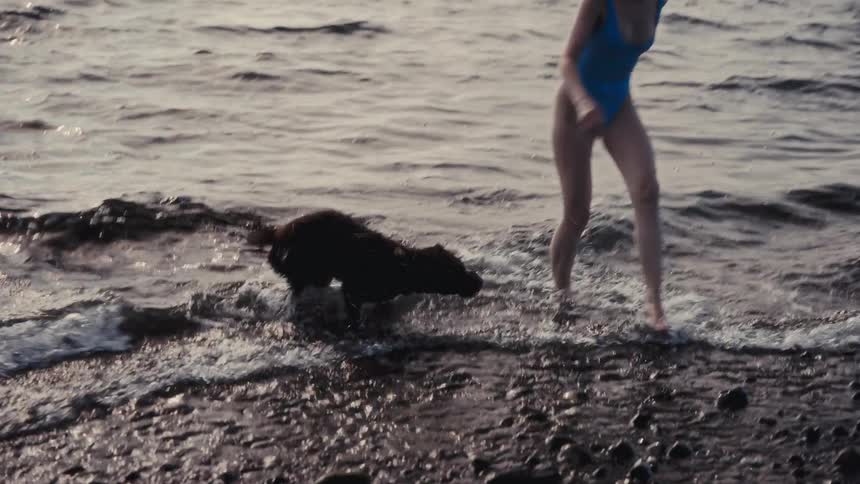A woman in a blue swimsuit and a dark dog are playing in the shallow waves of a rocky beach at dusk they transition from the water onto the shore as the dog excitedly splashes alongside her