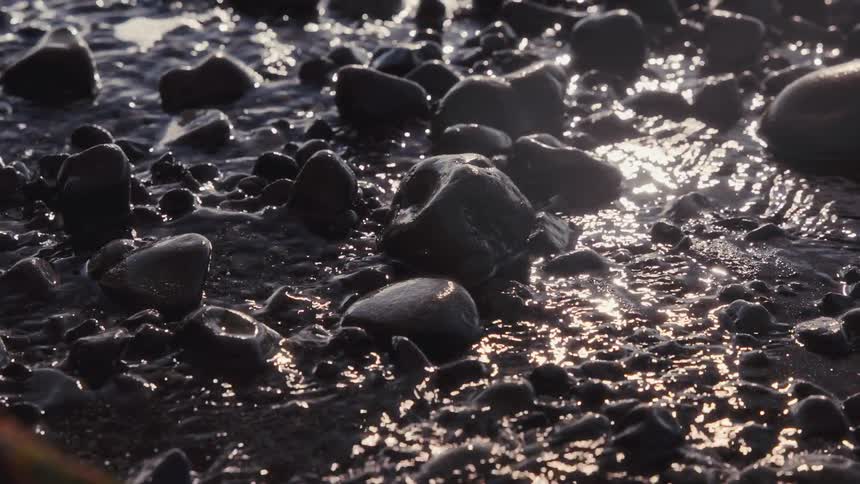 Wet stones reflect light along the rocky shoreline