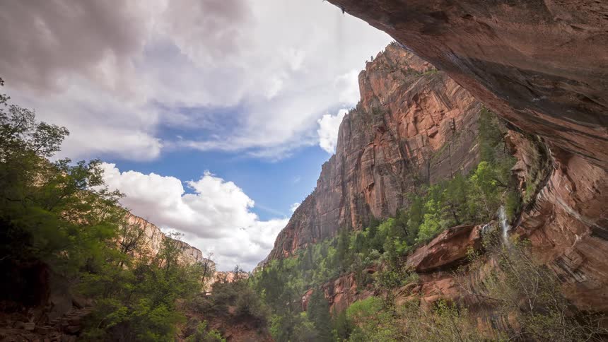Canyon with red rock walls dense vegetation and a waterfall