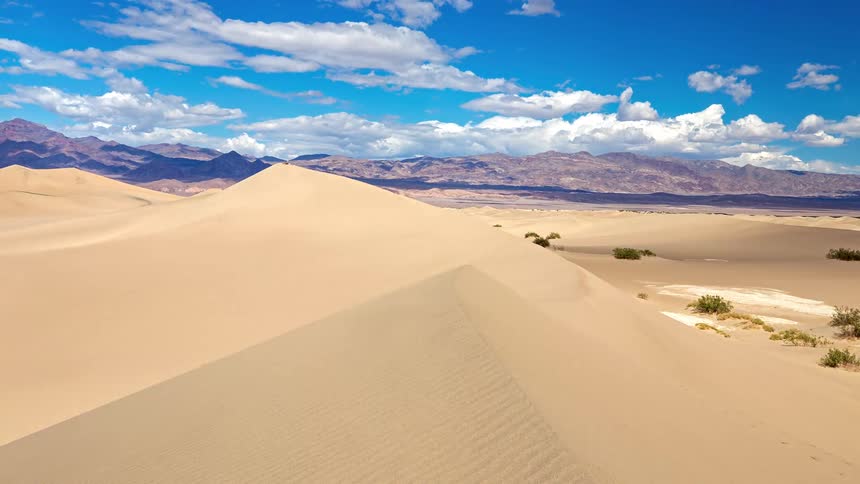 Golden dunes stretch out under a blue sky with mountains in the background