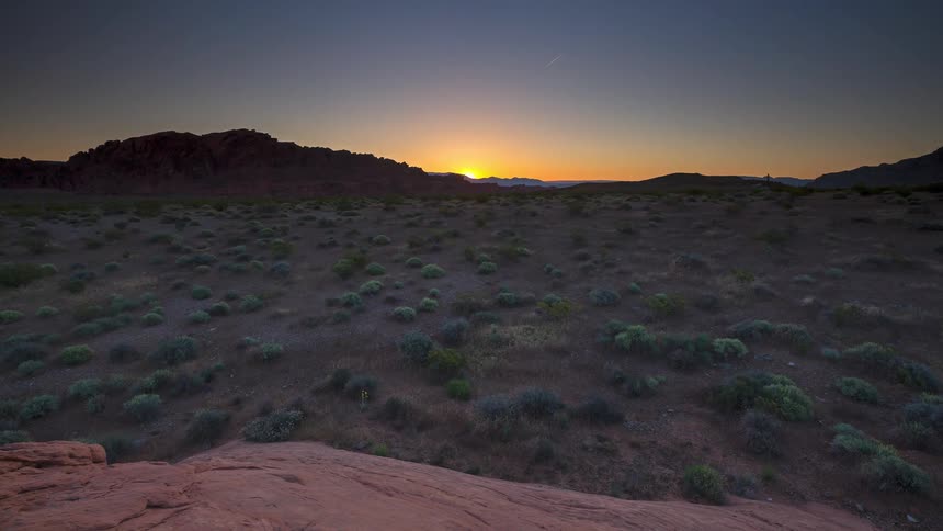 Plants and vegetation across the desert as the rising sun glows behind mountains in the distance