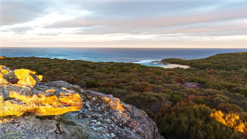 Lichencovered rocks at a coastal viewpoint at dusk