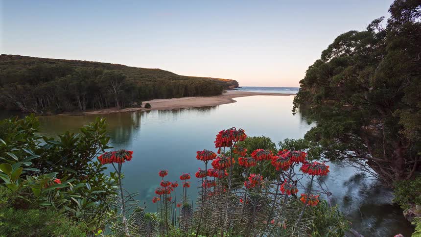 A peaceful coastal lagoon at sunset where orange flowers frame the foreground and dense green forests cover the surrounding hills as the water flows toward a sandy beach
