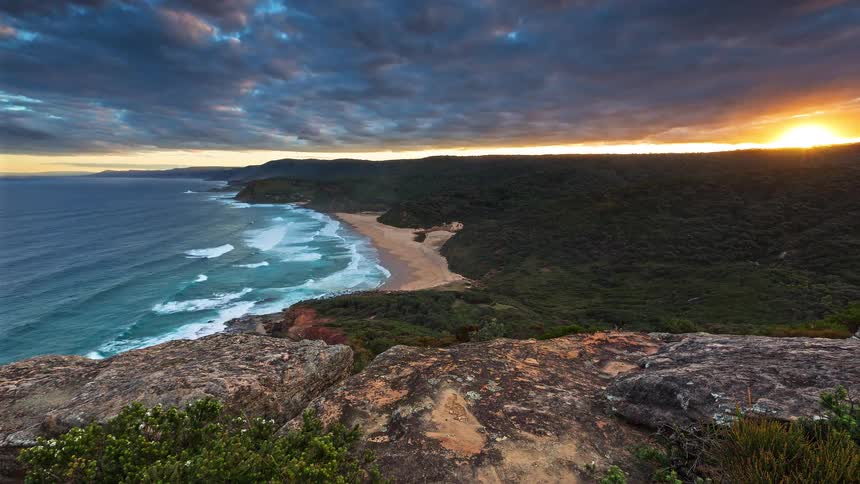 Coastal vegetation among rocks and beach under a cloudy sky
