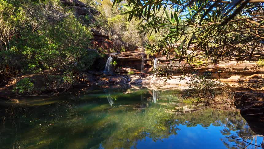 A view of a lake in the middle of a forest area