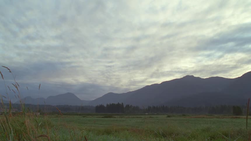 Open field with low vegetation and a mountain range in the background under a cloudy sky