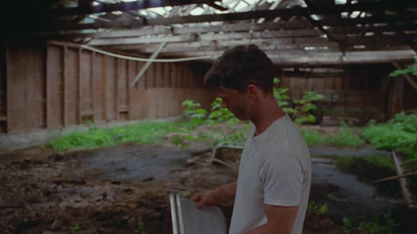 Man throws a sign into an abandoned shed with vegetation growing inside