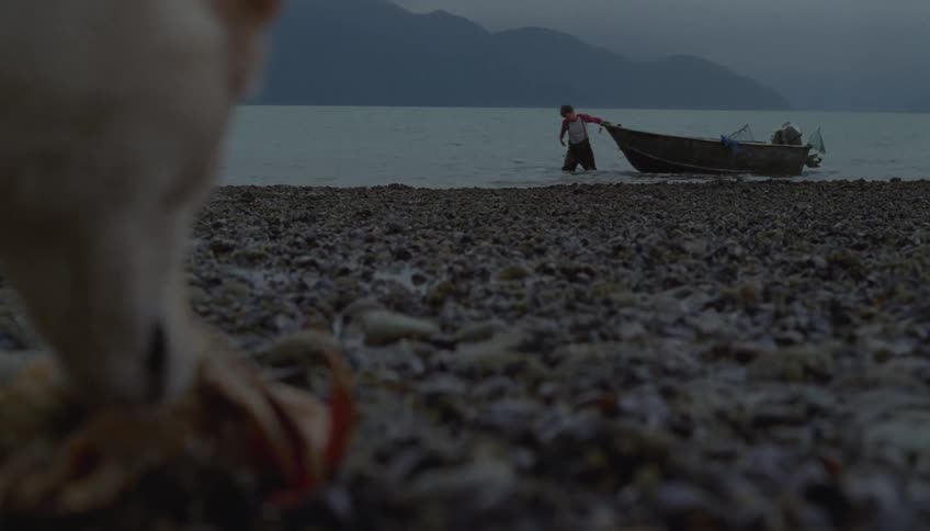In the foreground a dog scavenges a crab on a rocky shoreline under a dim overcast skyin the background a person in waders pulls a small boat onto the beach as the camera focus shifts away from the dog